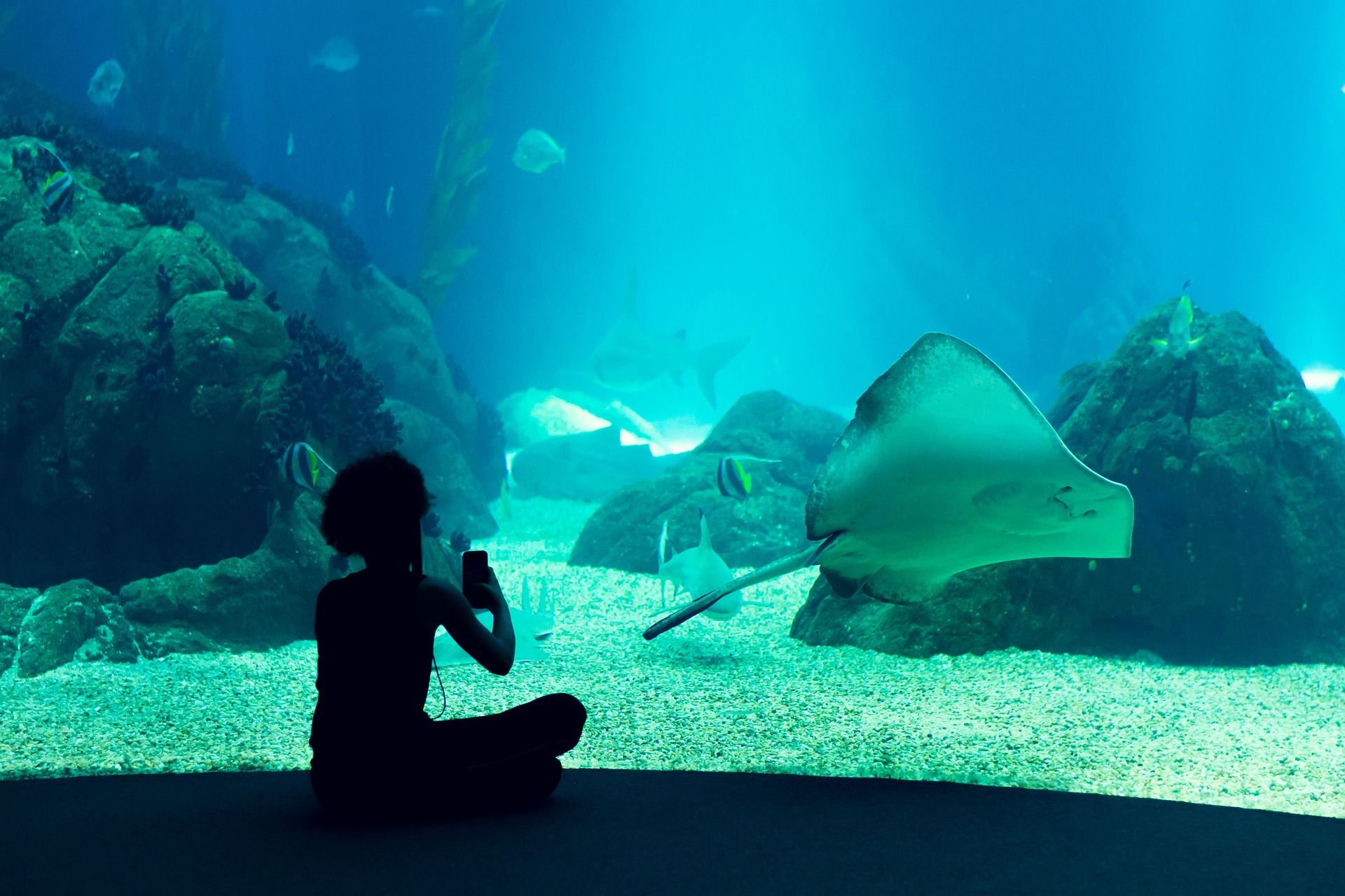 Аквариум Siam Ocean World