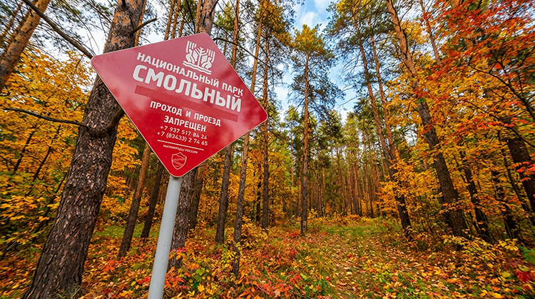 История национального парка «Смольный»