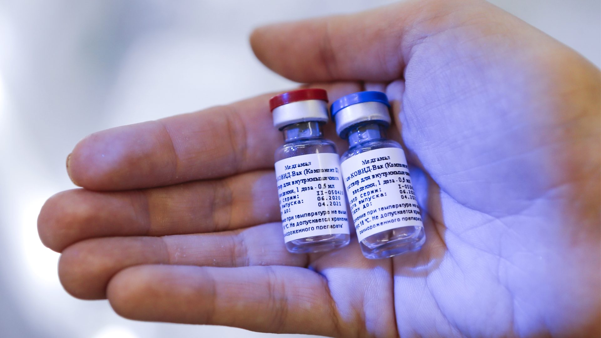 Авиакомпания Lufthansa будет доставлять немцев в Домодедово для вакцинации