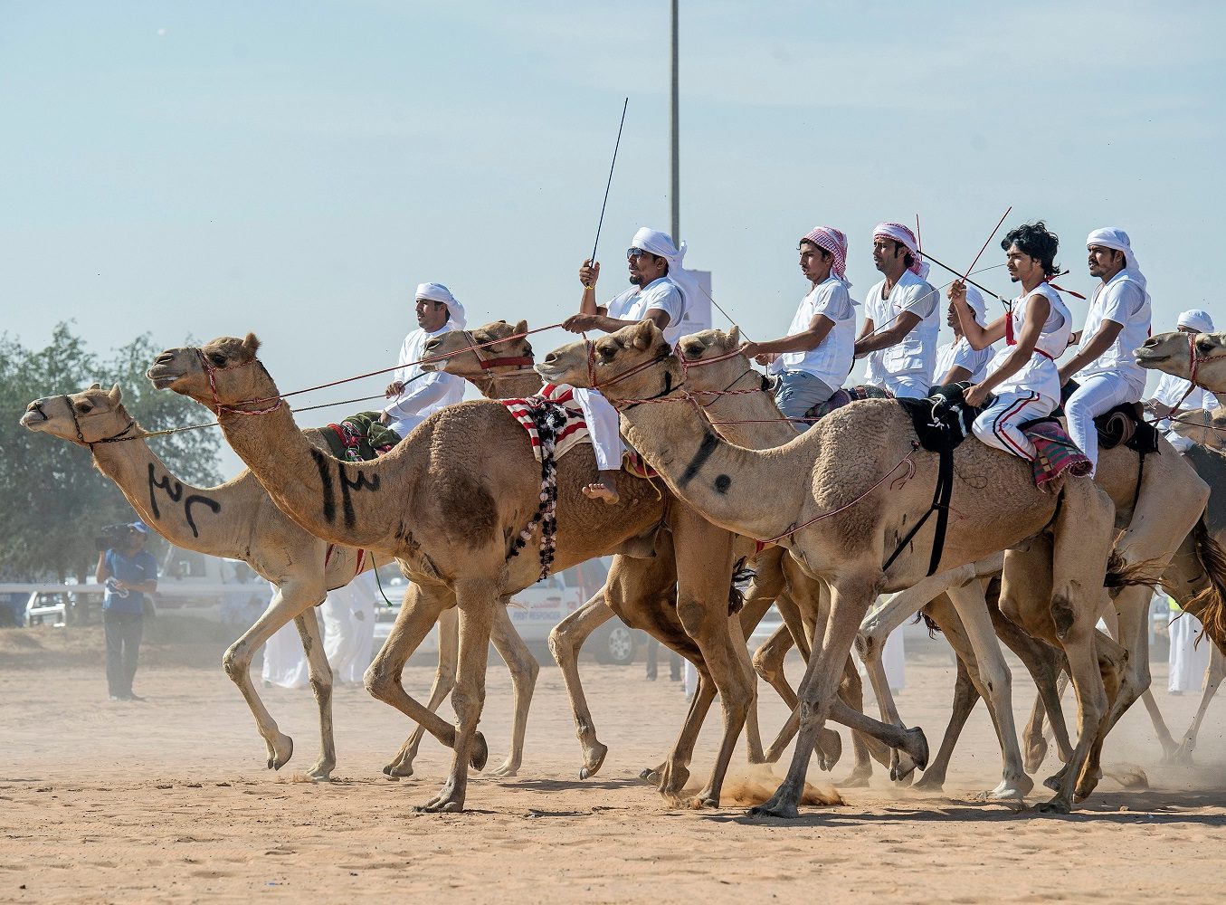 В Саудовской Аравии проходят гонки на верблюдах